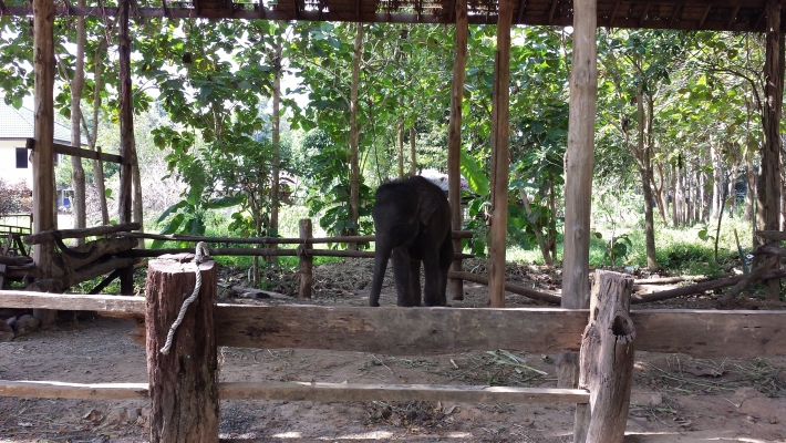 20131212_110050.jpg