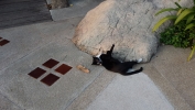 20131208_171941.jpg