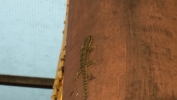 20131208_173419.jpg