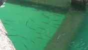 20131211_105440.jpg