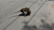 IMG-20131214-WA0008.jpg