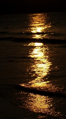 20131222_175348.jpg