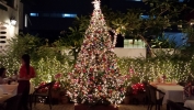 20131221_192050.jpg