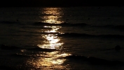 20131222_175256.jpg