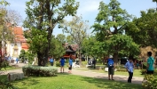 20131228_110005.jpg