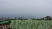 20131229_123205.jpg