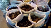 20131229_205811.jpg