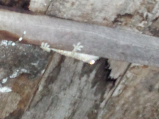 20141215_200151.jpg