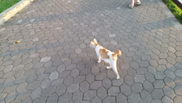 20141218_173055.jpg