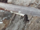 20141215_200151.jpg