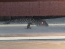 20141215_200215.jpg