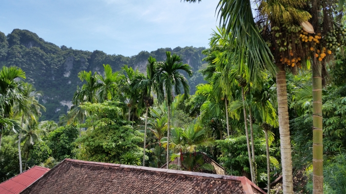 View from room
