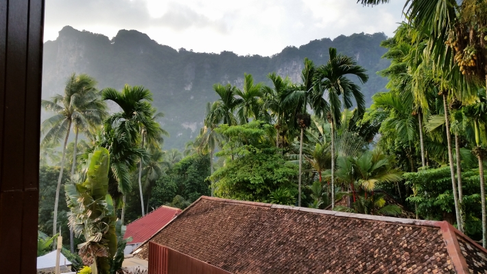 View from room
