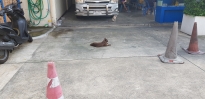 20181115_154058.jpg