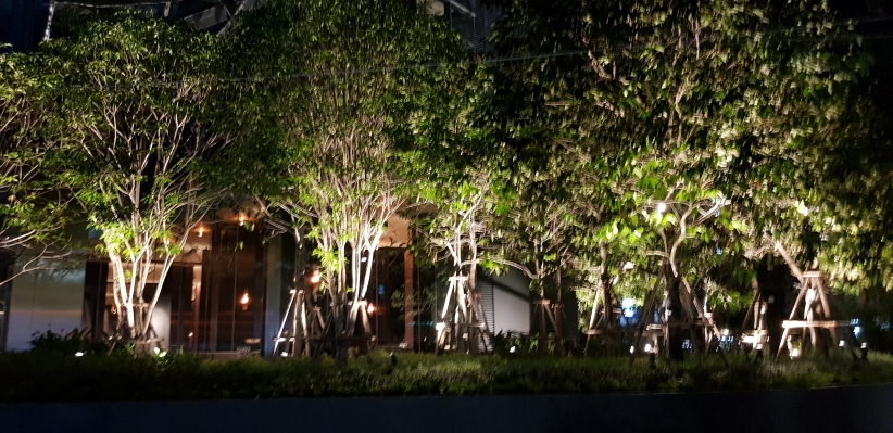 20181111_192044.jpg
