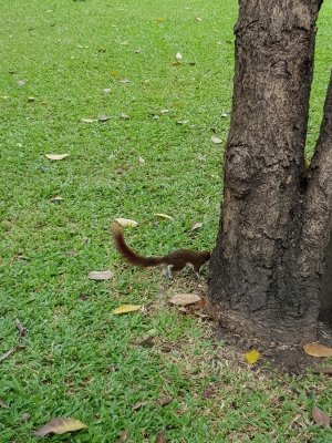 20181110_111835_1.jpg