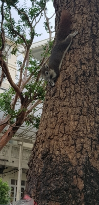 20181115_142411.jpg