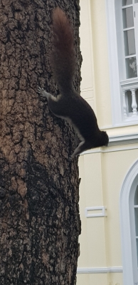 20181115_142447.jpg