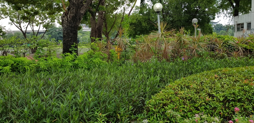 20181116_102246.jpg