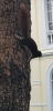20181115_142447.jpg