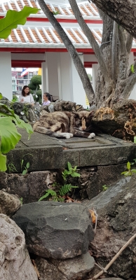 20181111_114847.jpg