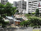 IMG_0890.jpg