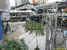 IMG_0895.jpg
