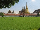 IMG_0952.jpg