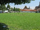 IMG_0953.jpg