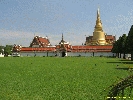 IMG_0956.jpg