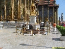 IMG_0963.jpg