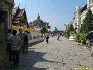 IMG_0979.jpg