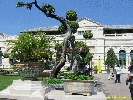 IMG_0982.jpg