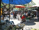 IMG_0989.jpg