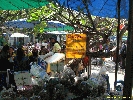 IMG_0990.jpg