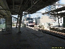 IMG_1023.jpg