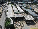 IMG_1024.jpg