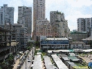 IMG_1025.jpg
