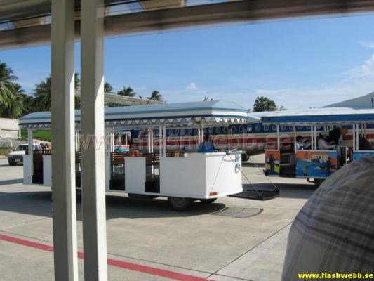 IMG_1157.jpg