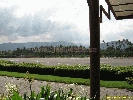 IMG_1162.jpg