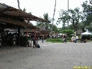 IMG_1524.jpg