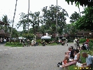 IMG_1525.jpg