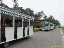 IMG_1529.jpg