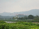 IMG_1531.jpg