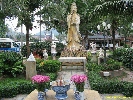 IMG_1532.jpg
