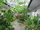 IMG_1398.jpg