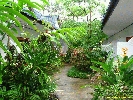 IMG_1399.jpg