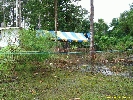 IMG_1404.jpg