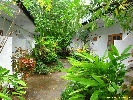 IMG_1405.jpg