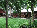 IMG_1164.jpg